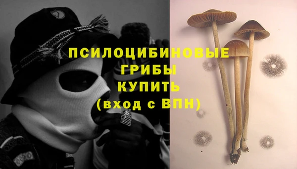 героин Белокуриха